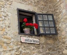 Beautiful colorful flowers in the pot in the window