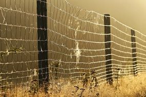 fence in a web