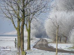 road in countryside at winter