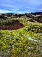 landscape of the hill on the coast of the island Langeoog