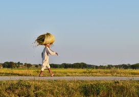 simplicity of rural life