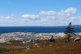 landscape of picturesque coastline in Scotland