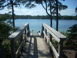 wooden staircase near the pond