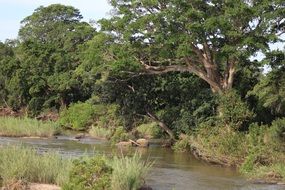 fascinating wild River