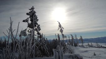 snowy landscape in high tatras