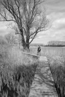 Black and white photo of the person walking on board near the swamp