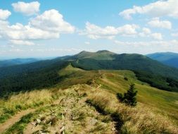 path through green Mountains, poland, Poloniny