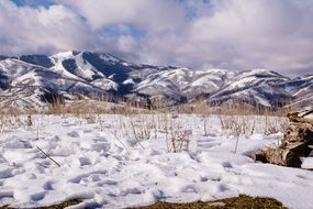 snowy winter in the mountains of utah
