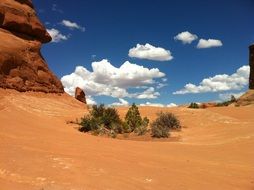 oasis near sandstone in the desert