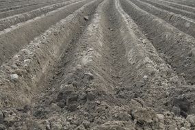 rural field tillage