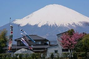Mt Fuji Gotemba