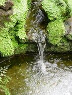 creek in green rocks
