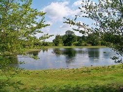 calm pond among trees at summer, usa, virginia, purcellville