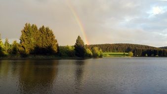 idyll forest and rainbow view