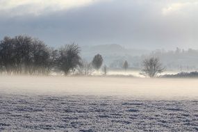 mystical fog over the field in winter