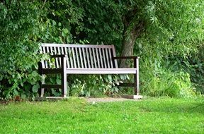 magnificent Bench