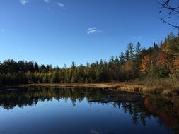 green trees around the lake