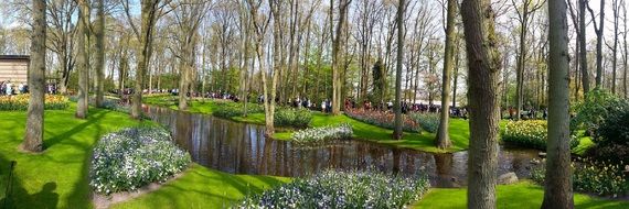 picturesque park in the sunlight
