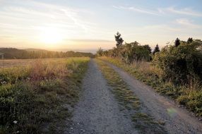 rural road in the evening