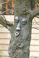 tree with a face like a joke