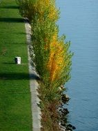riverside in autumn