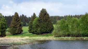 Lake Green Forest landscape
