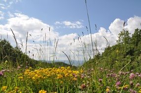 Landscape Valmarecchia