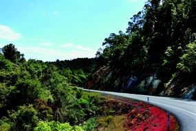 road in New Zealand