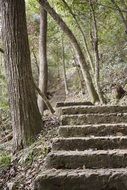 landscape of stone stairs like a path in the forest