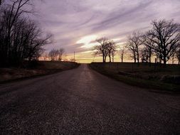 Road Purple Landscape