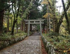 picturesque park in japan