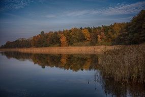 mirror image of autumn forest in a lake
