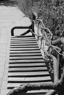 Black and white photo of the bench in the garden