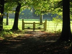 rustic fence in the forest