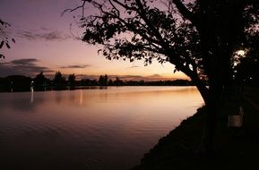 awesome Tree Sunset