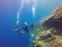 photo of scuba diving descovery