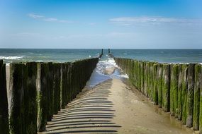 Beach of North Sea in Holland