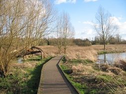 landscape of path along the river on a sunny day