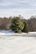 Winter Pond Lake Snow Nature