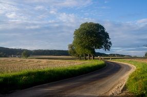 Doubs Tree Country Road