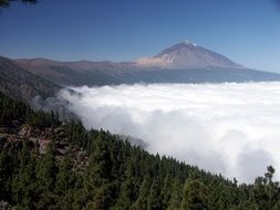 magnificent Tenerife