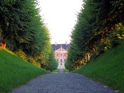 Landscape of Tree lined Avenue in Germany