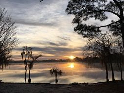 landscape of dawn over a lake in a park