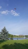 kite above Lake at Summer Sunny Day