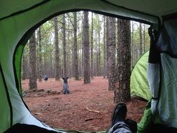 view from the green tent to the forest