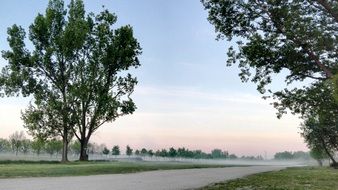 morning mist over the field along the road