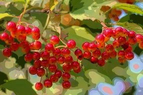 pleasant Berries Autumn