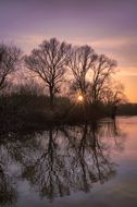 Trees by the water at colorful sunset background