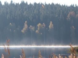 Fog over Lake Forest Natural Sweden