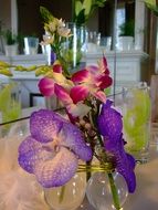 Beautiful colorful flowers on the table in the spring